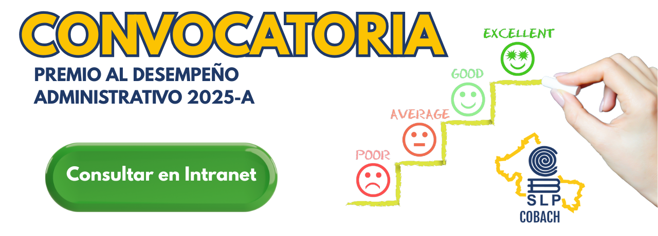 Imagen 47